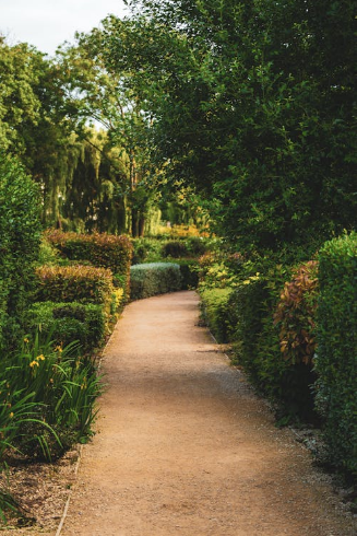 Landscaping Companies